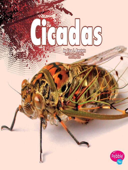 Title details for Cicadas by Gail Saunders-Smith - Available